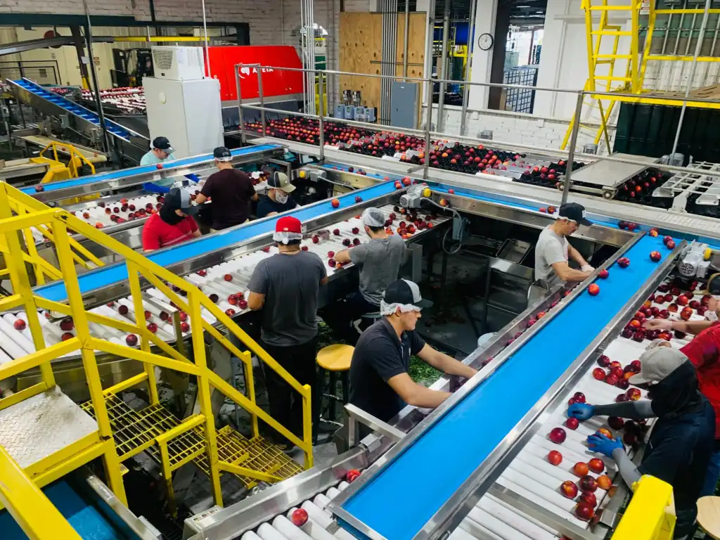 针绣制品与刺绣工艺品的技术解析：传统工艺如何实现现代设计融合