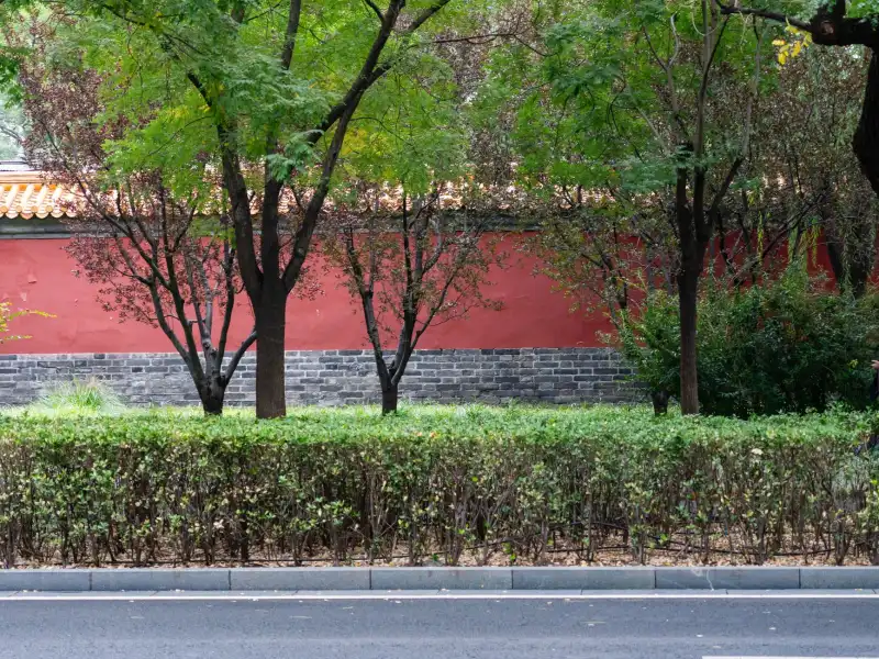 针绣制品与刺绣工艺品的技术解析：传统工艺如何实现现代设计融合